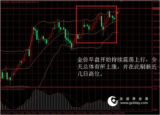 金盛盈富黄金价格走势