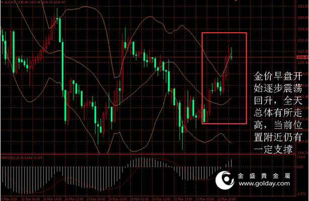 金盛盈富 金价日内走势