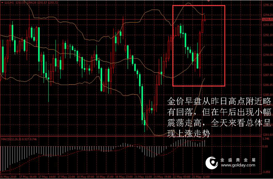 金盛盈富 金价日内走势