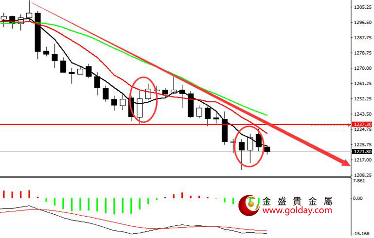 金盛盈富 现货黄金日线图