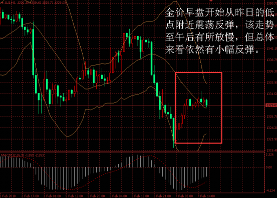 金盛盈富 金价日内走势