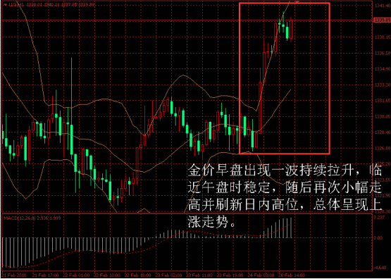 金盛盈富 金价日内走势